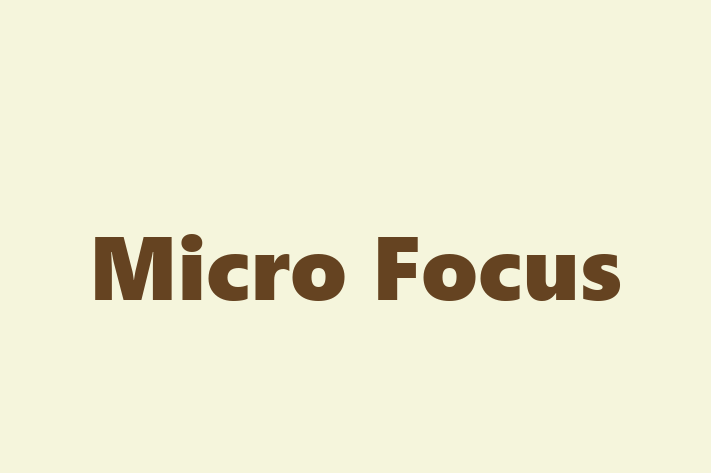 Application Development Company Micro Focus