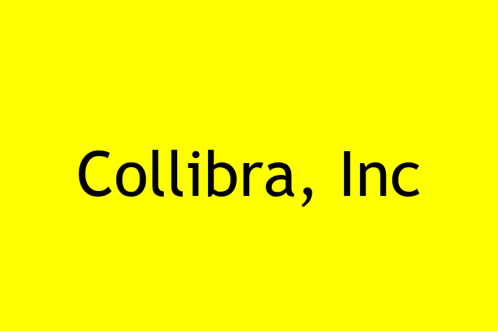 Tech Solutions Company Collibra Inc