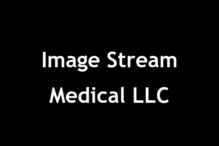 Software Services Company Image Stream Medical LLC