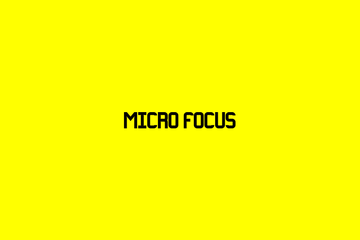 Software Engineering Company Micro Focus