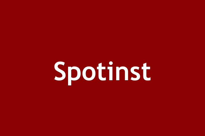 Tech Solutions Company Spotinst