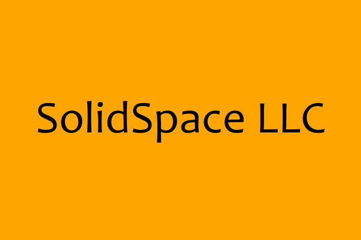 IT Company SolidSpace LLC