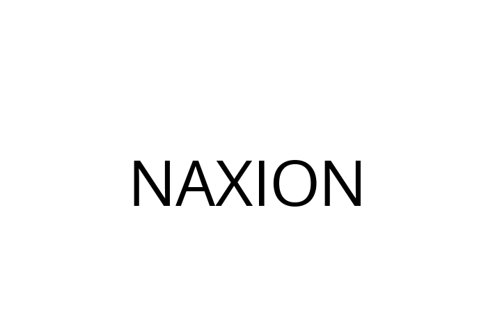 Technology Solutions Firm NAXION