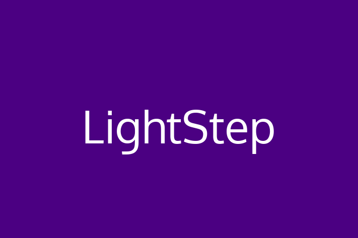 Software Consultancy LightStep