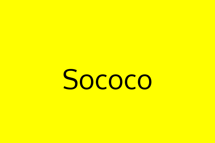 Software Services Company Sococo