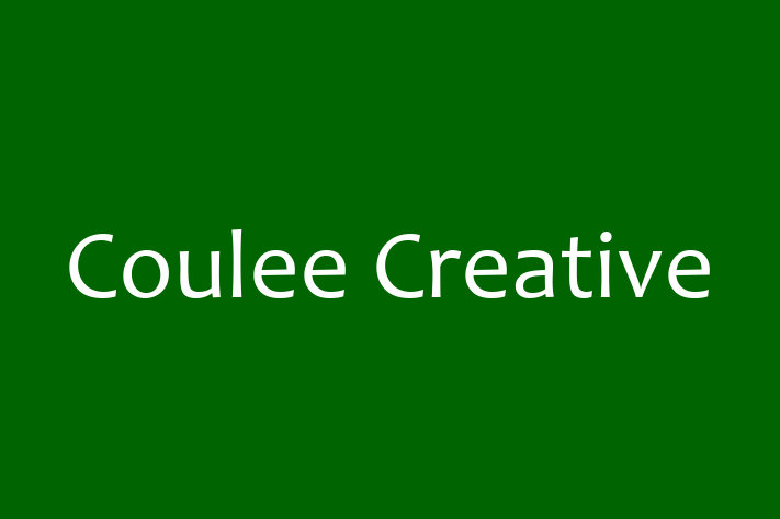 Tech Solutions Company Coulee Creative