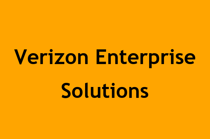 Application Development Company Verizon Enterprise Solutions