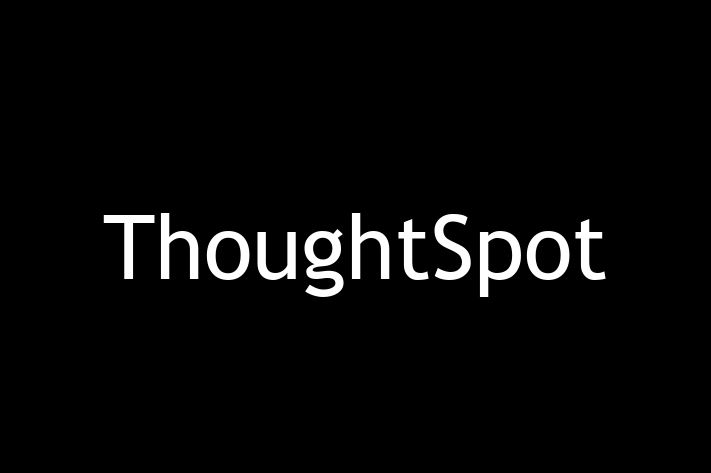 Software Development Company ThoughtSpot