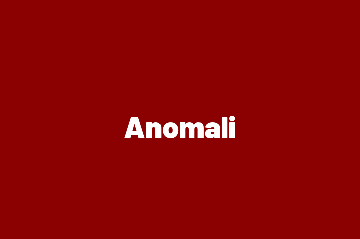 Software Services Company Anomali