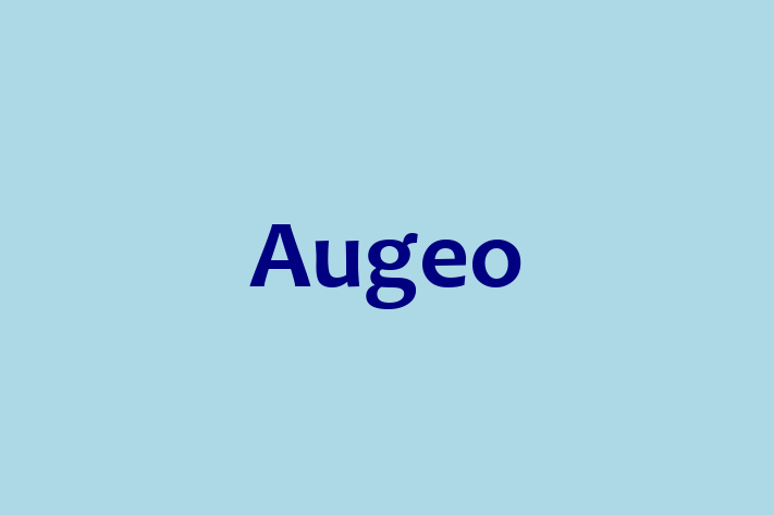 Application Development Company Augeo