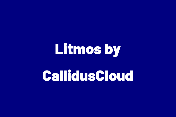 Technology Company Litmos by CallidusCloud