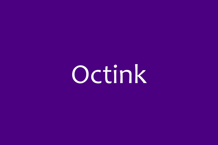 IT Company Octink