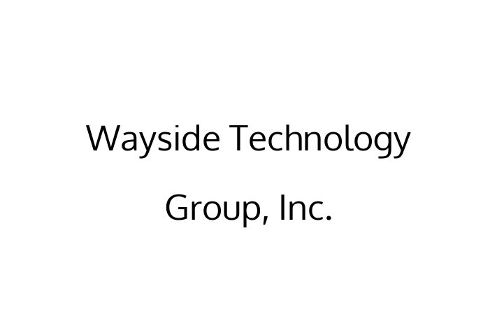 Software Services Company Wayside Technology Group Inc.