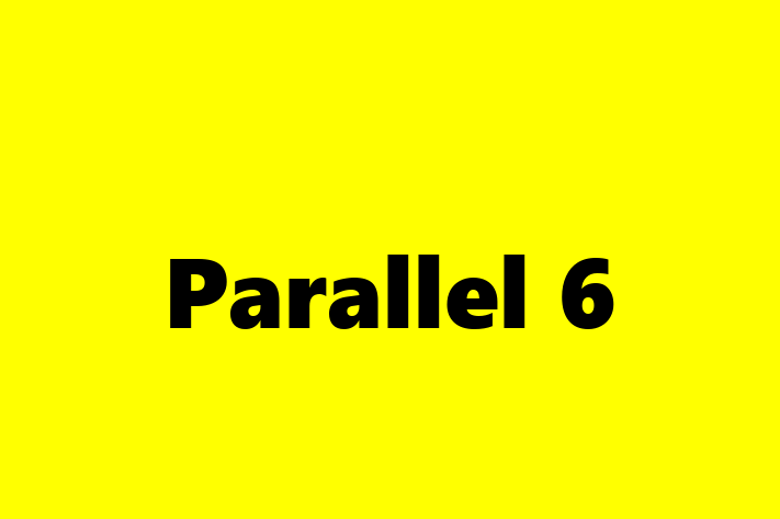 Software Engineering Company Parallel 6