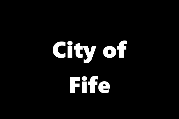 Human Capital Management City of Fife