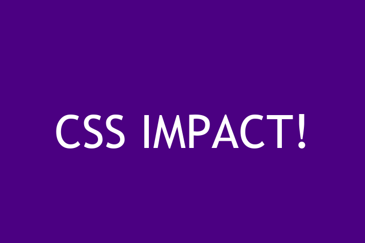 Software Firm CSS IMPACT