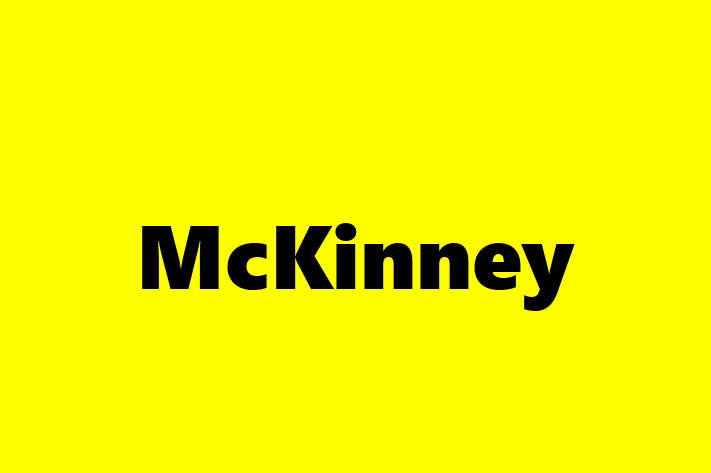 Software Engineering Company McKinney