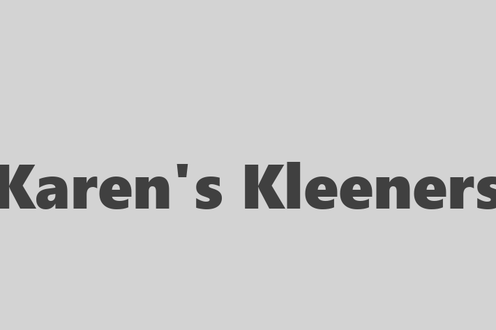 Domestic Cleaning Karens Kleeners