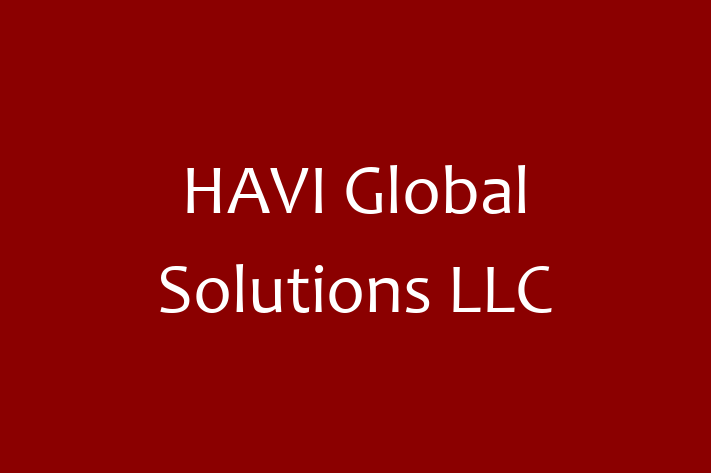 Application Development Company HAVI Global Solutions LLC