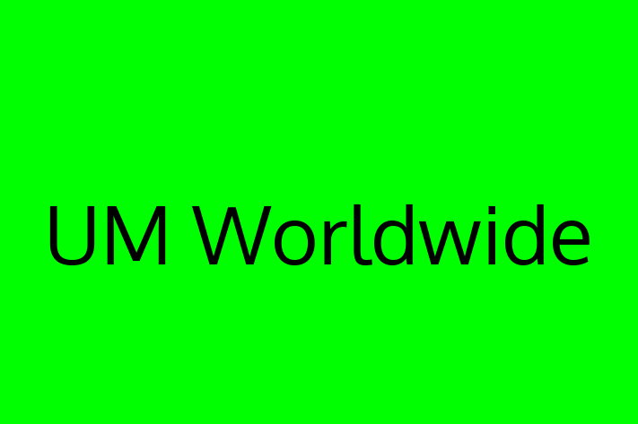 Software Development Company UM Worldwide