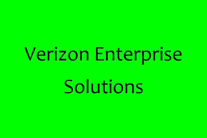 Digital Solutions Provider Verizon Enterprise Solutions