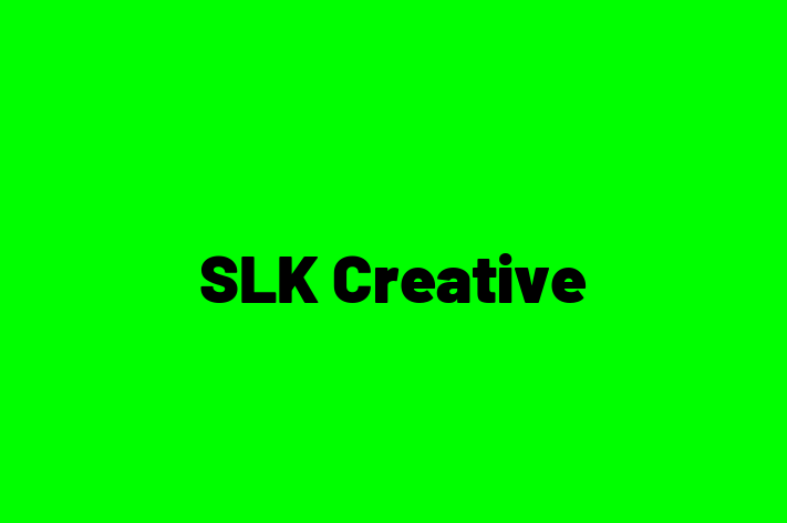 Tech Solutions Company SLK Creative