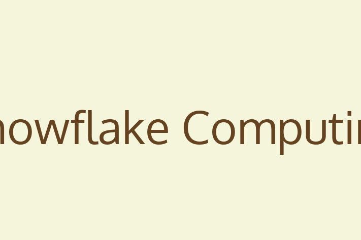 Digital Solutions Provider Snowflake Computing