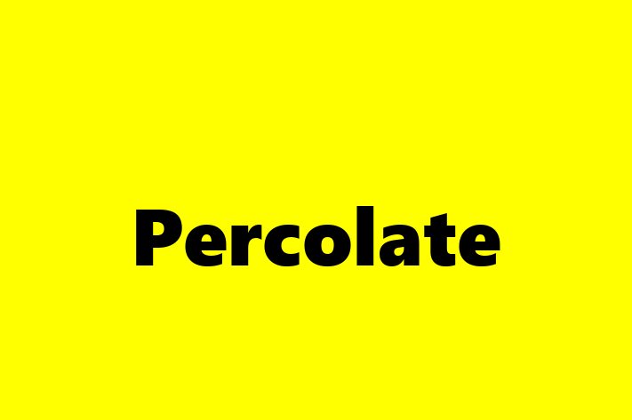 Software Development Company Percolate