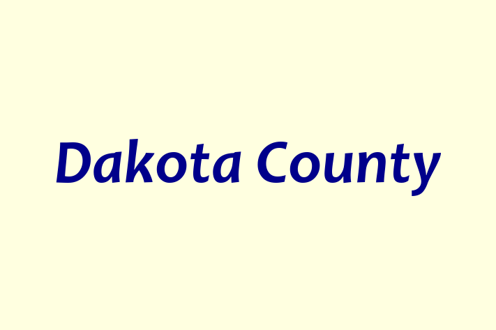 Talent Management Dakota County