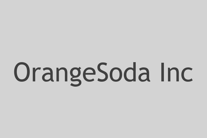 Tech Solutions Company OrangeSoda Inc