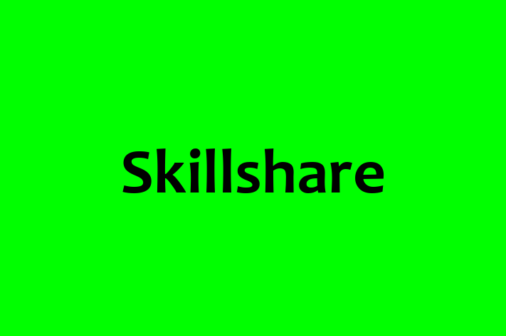 Digital Solutions Provider Skillshare