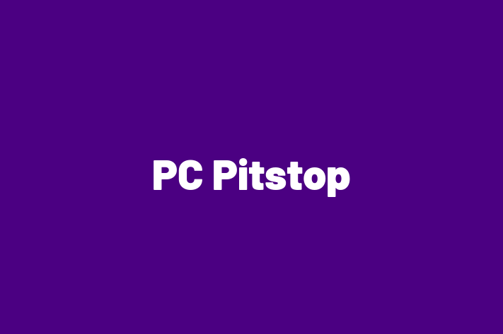 Technology Solutions Firm PC Pitstop