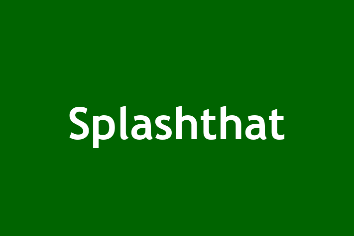 Software House Splashthat