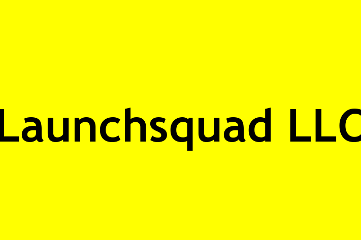 Technology Company Launchsquad LLC