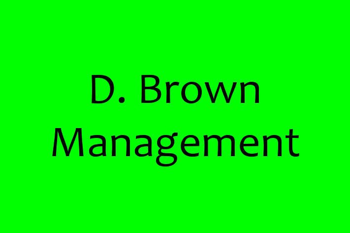 Tech Solutions Company D. Brown Management