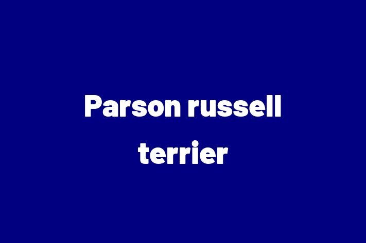 Parson russell terrier Dog PuppiesKittens for Sale in Simi Valley