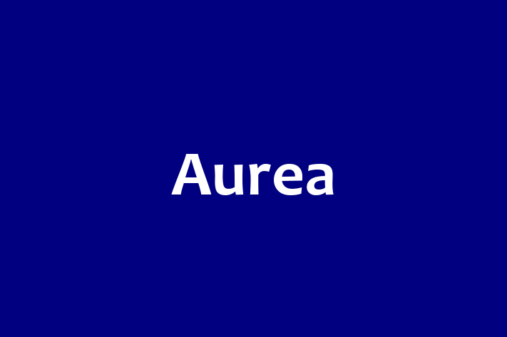 Digital Solutions Provider Aurea