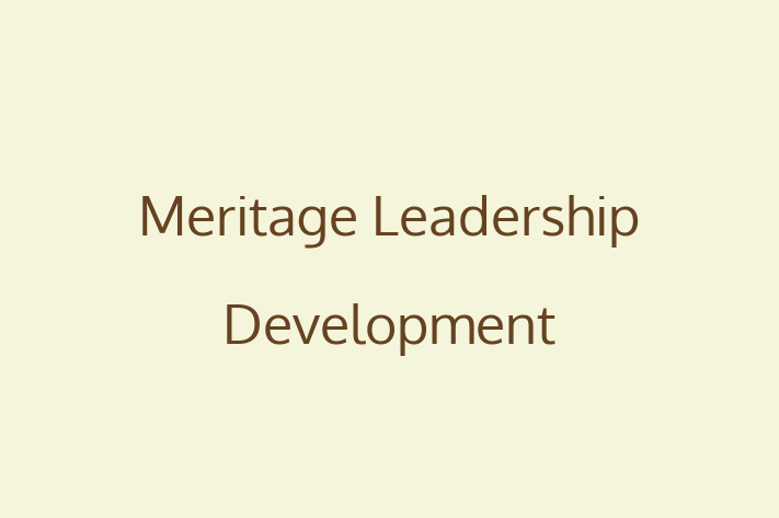 Software Engineering Company Meritage Leadership Development