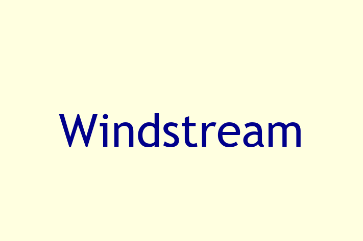 Software Development Company Windstream