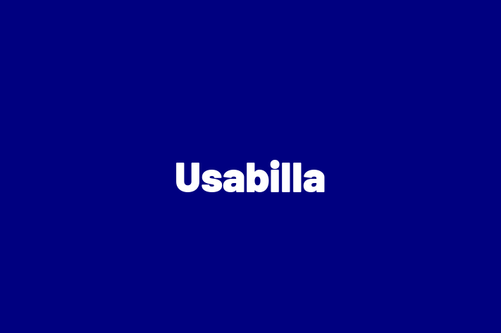 Application Development Company Usabilla