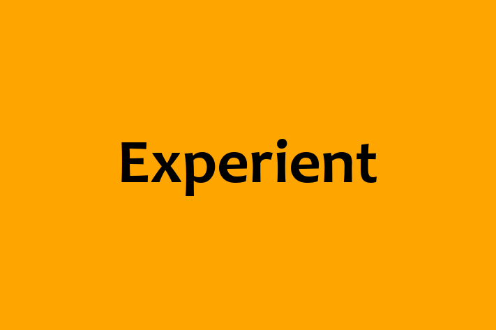 Tech Firm Experient