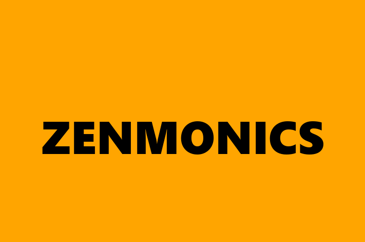 Software Services Company ZENMONICS