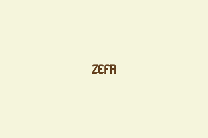 Software Consultancy ZEFR