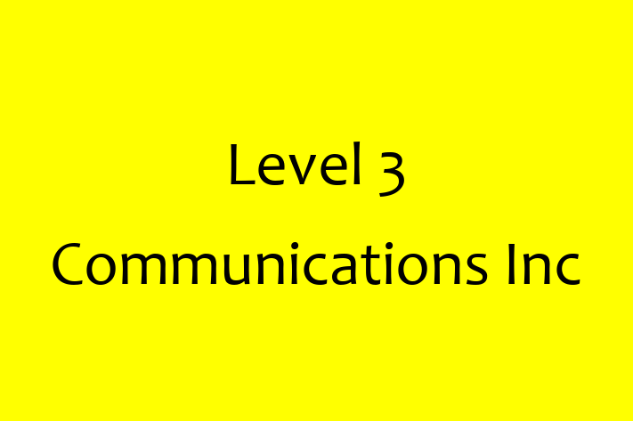 Software Engineering Company Level 3 Communications Inc