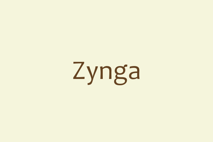 Technology Solutions Firm Zynga