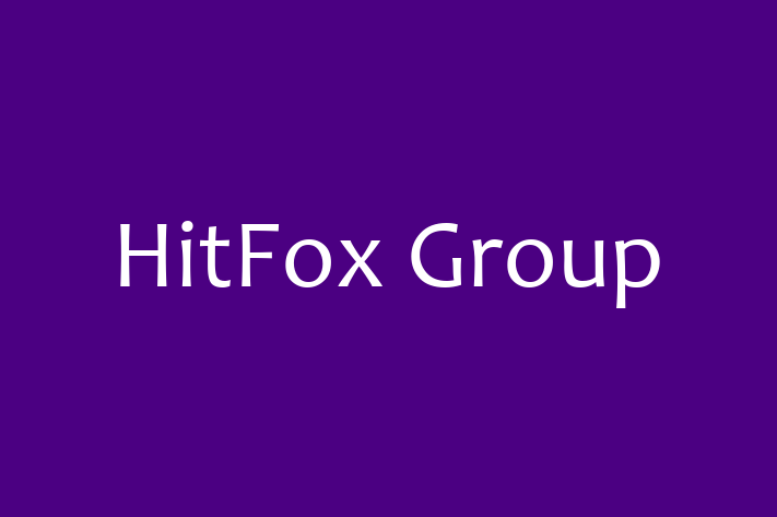 Software House HitFox Group