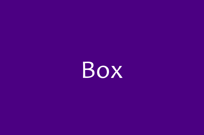 Software Services Company Box