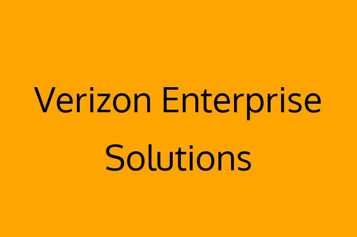 Digital Solutions Provider Verizon Enterprise Solutions