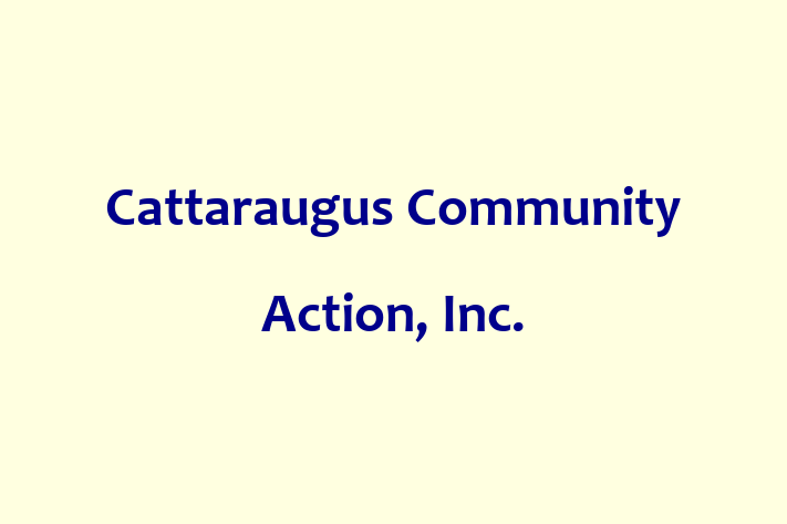 Workforce Management Cattaraugus Community Action Inc.