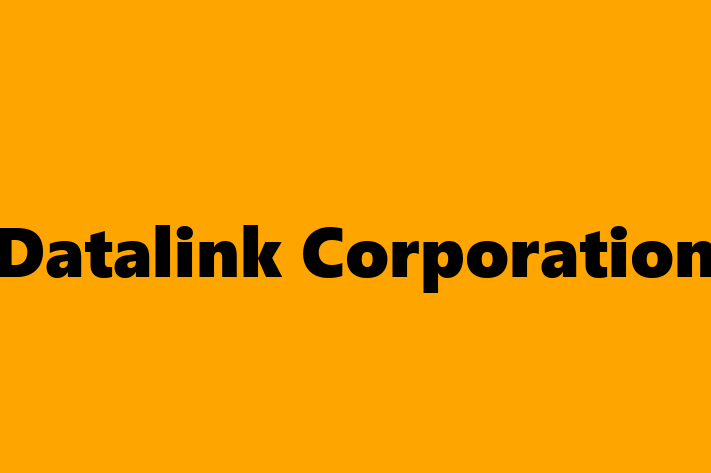 Digital Solutions Provider Datalink Corporation